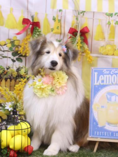 20240413カレンちゃん